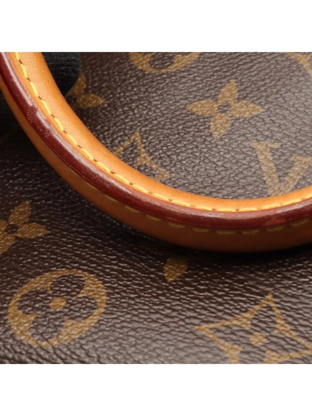 Louis Vuitton Handbag Speedy 35 Canvas Leather
